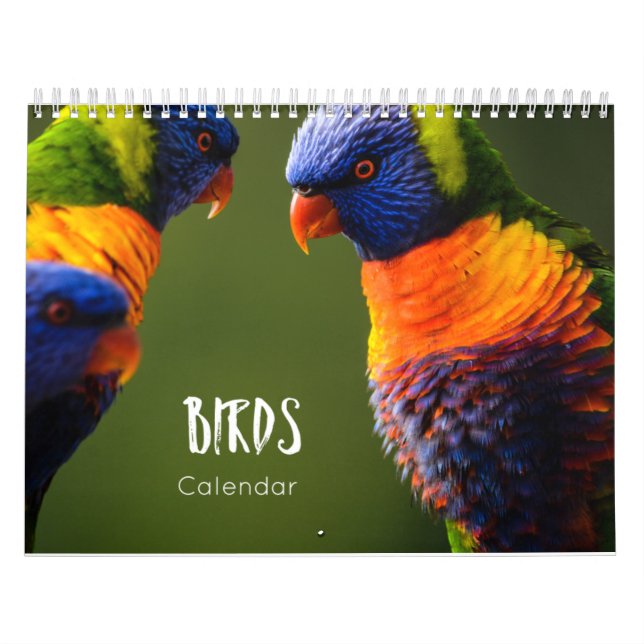 fågelkalender 2023 kalender (Omslag)