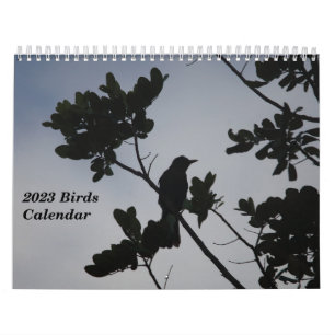Fågelkalender 2023 kalender