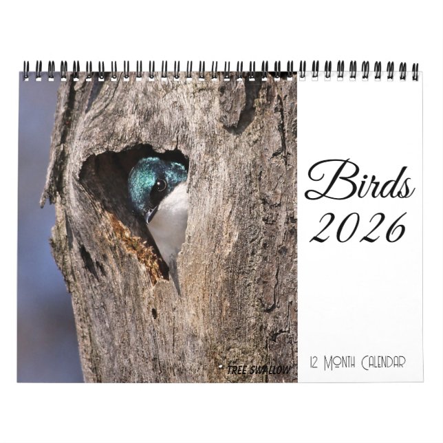 Fågelkalender 2026 kalender (Omslag)