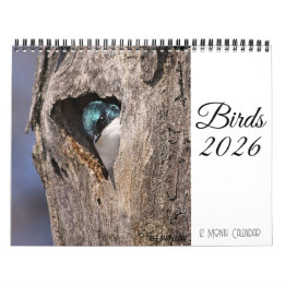 Fågelkalender 2026 kalender