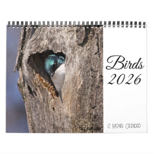 Fågelkalender 2026 kalender