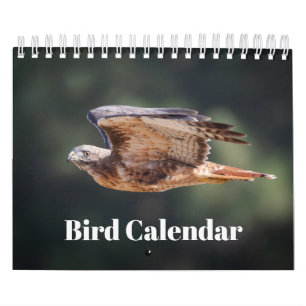 Fågelkalender 2026 kalender