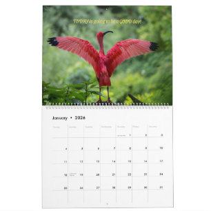 Fågelkalender 2026 - med bibelverser kalender