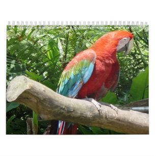 Fågelkalender 2 kalender