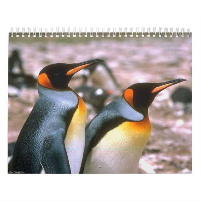 Fågelkalender 6 kalender (Omslag)