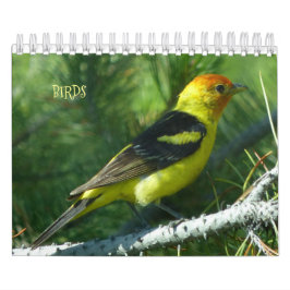 Fågelkalender för 2017 kalender
