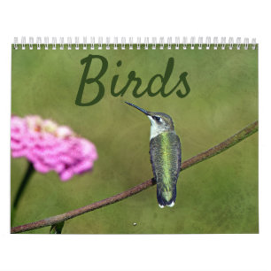 Fågelkalender Kalender