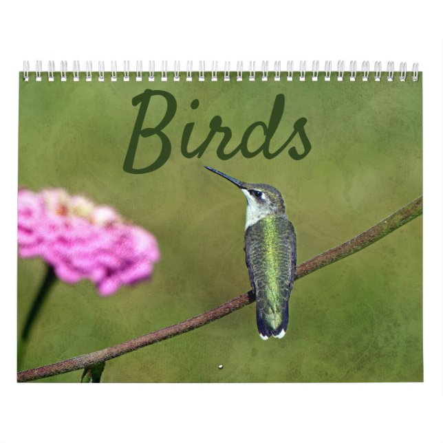 Fågelkalender Kalender (Omslag)