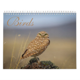 Fågelkalender Kalender