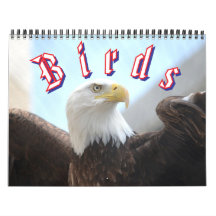 Fågelkalender