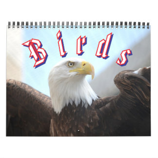 Fågelkalender Kalender