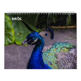 fågelkalender kalender