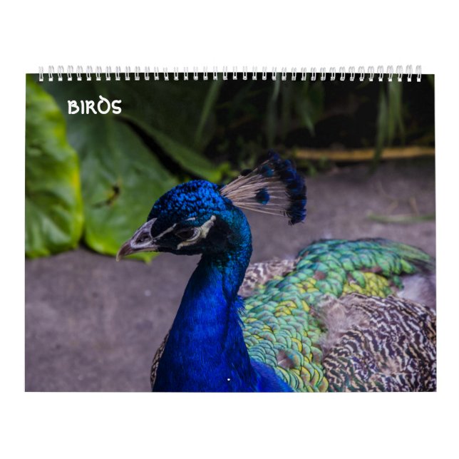 fågelkalender kalender (Omslag)