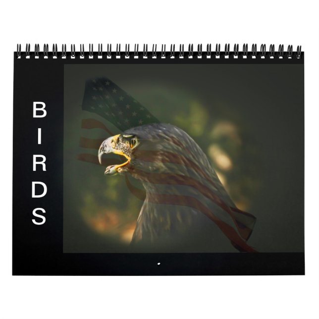 Fågelkalender Kalender (Omslag)