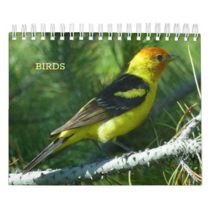 Fågelkalender Kalender