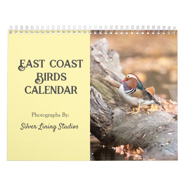 Fågelkalender öster Kusten Kalender (Omslag)