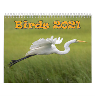 Fågelkalendern 2021 kalender