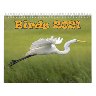 Fågelkalendern 2021 kalender