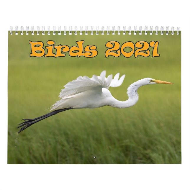 Fågelkalendern 2021 kalender (Omslag)