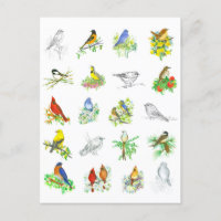 Fågelkardinal Chickadee Ornithology Art