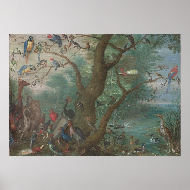 Fågelkonsert - Jan van Kessel Fine Art Poster (Framsidan)