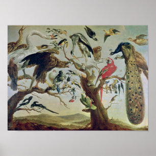 Fågelkonsert Poster