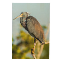 Fågelkonst 24 x 36 Perfekt