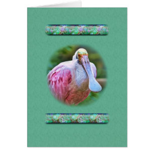Fågelkort för Roseate Spoonbill Hälsningskort