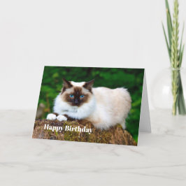 Fågelkort för siamesisk katt kort
