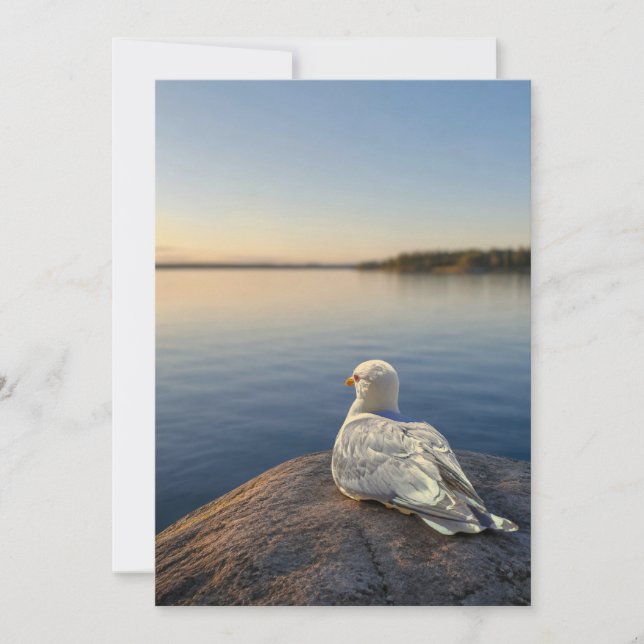 Fågelkort, Kustnaturpresent, Ins Tack Kort (Framsida)