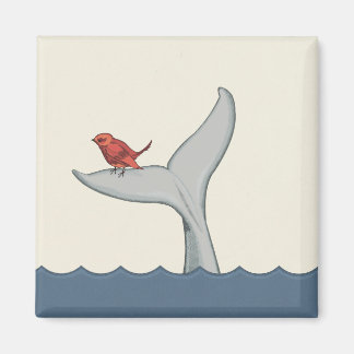 Fågelmagnet Magnet