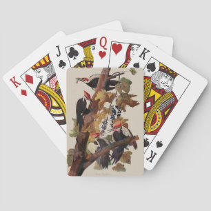 Fågelmålning av Audubon Pileated Woodpecker Bird P Casinokort