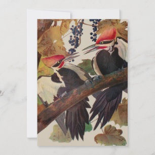 Fågelmålning av Audubon Pileated Woodpecker Bird P Inbjudningar