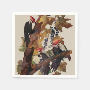 Fågelmålning av Audubon Pileated Woodpecker Bird P Pappersservett