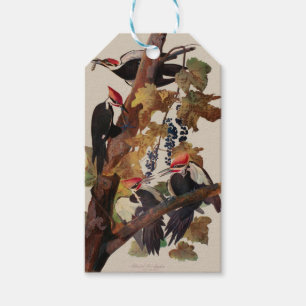 Fågelmålning av Audubon Pileated Woodpecker Bird P Presentetikett