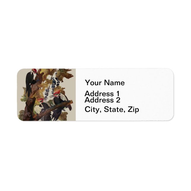 Fågelmålning av Audubon Pileated Woodpecker Bird P Returadress Etikett (Framsidan)