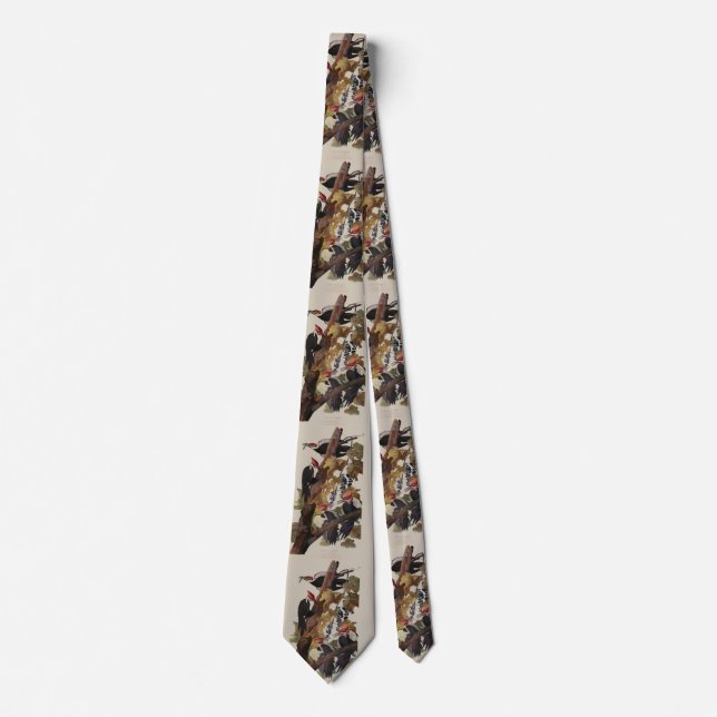 Fågelmålning av Audubon Pileated Woodpecker Bird P Slips (Framsida)