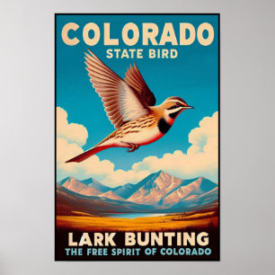 Fågelmotiv från Colorado - Lark Bunting Vintage Poster