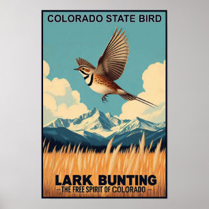 Fågelmotiv från Colorado - Lark Bunting Vintage Poster