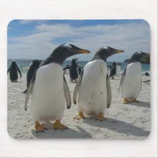 Fågelmusen vadderar 19 musmatta