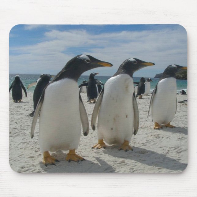 Fågelmusen vadderar 19 musmatta (Framsidan)