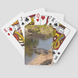 Fågeln Florida Alligator & Limpkin i sjö Casinokort