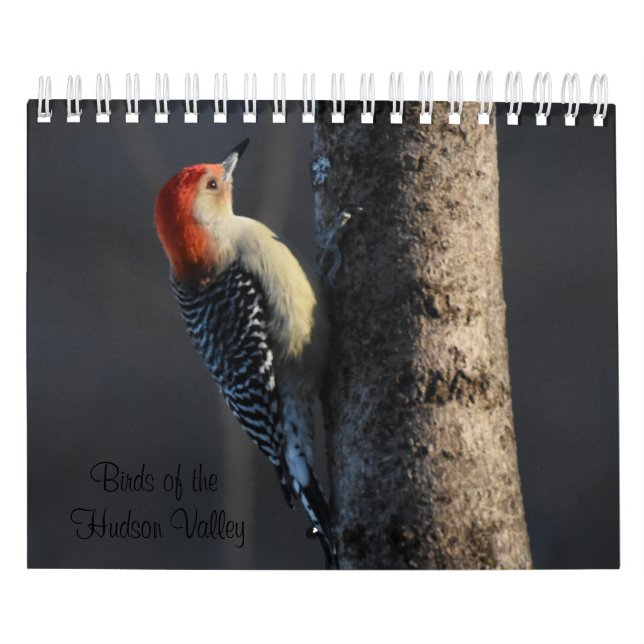 Fågeln i Hudson Valley Kalender (Omslag)