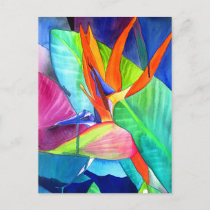 Fågeln på den tropiska konsten Paradise Strelitzia Vykort
