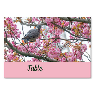 Fågeln på ett blommande Sakura bord-kort Bordsnummer