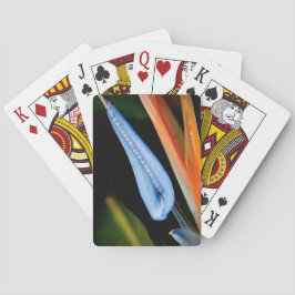 Fågeln på Paradise Photo Casinokort