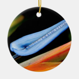 Fågeln på Paradise Photo Julgransprydnad Keramik