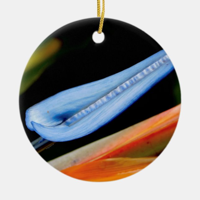Fågeln på Paradise Photo Julgransprydnad Keramik (Framsidan)