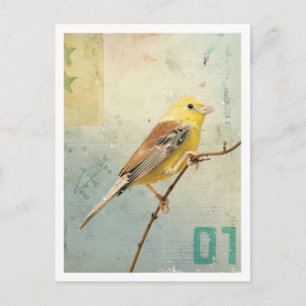 Fågelnr 4 vykort