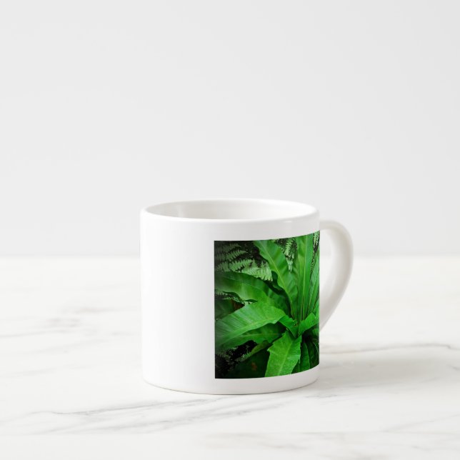 Fågelns bo Fern Espressomugg (Framsida höger)